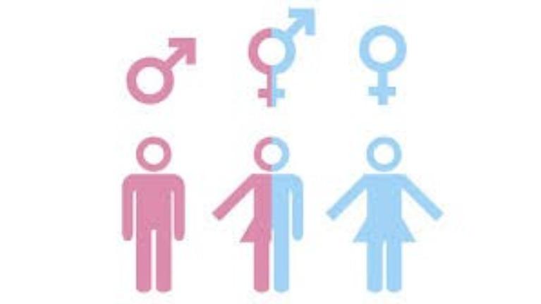 Are you Male,Female or Both 👤Tan Quoc Le Pham