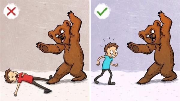 9 quy tắc sinh tồn sai lầm nghiêm trọng mà ai cũng tin sái cổ