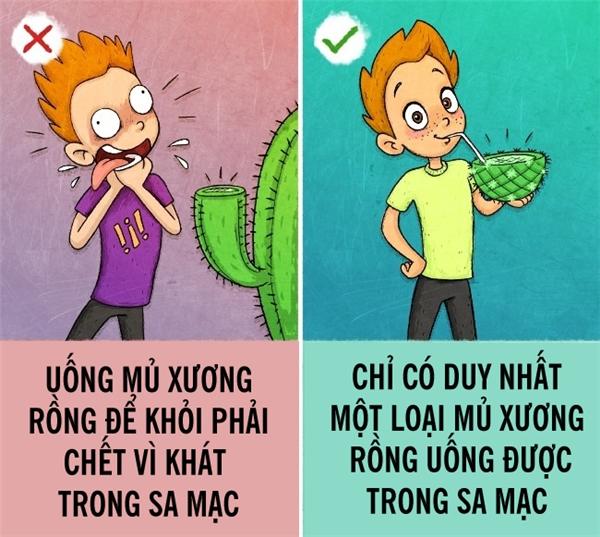 9 quy tắc sinh tồn sai lầm nghiêm trọng mà ai cũng tin sái cổ - 4