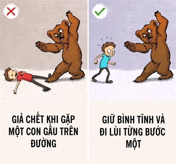 9 quy tắc sinh tồn sai lầm nghiêm trọng mà ai cũng tin sái cổ - 5